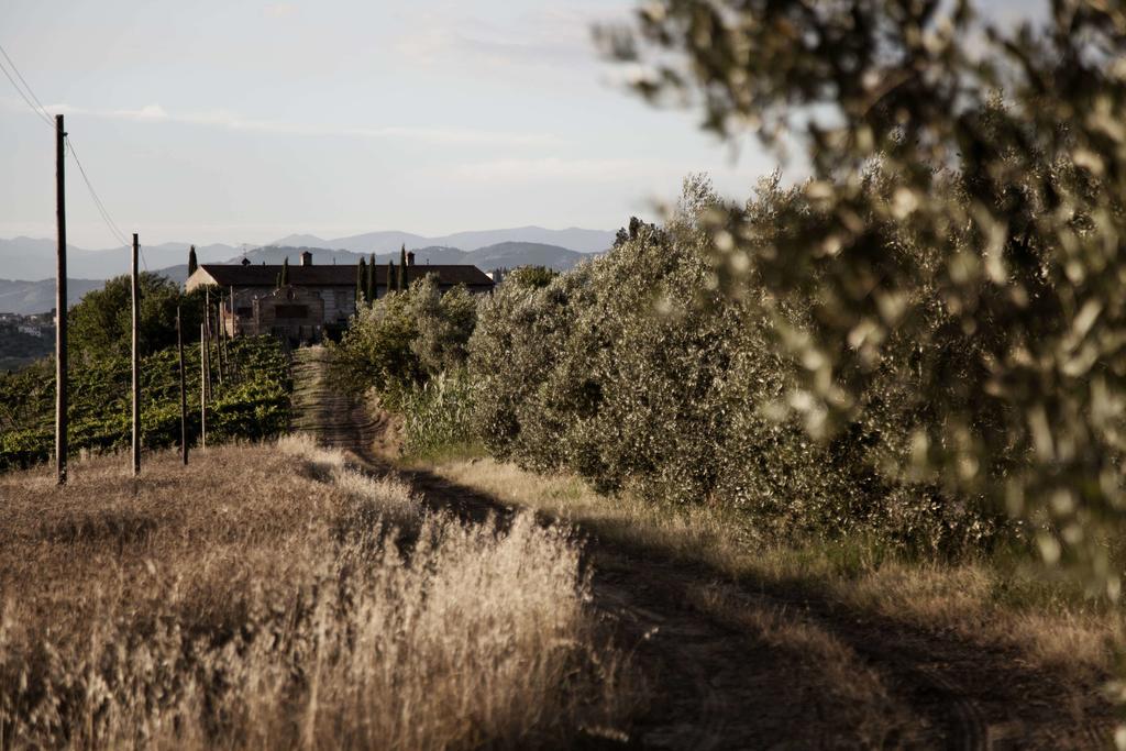 Tenuta Di Colle Alberti Agriturismo Villa Cerreto Guidi Exterior foto